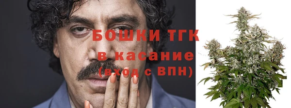 гашик Кодинск