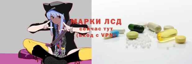 гашик Кодинск
