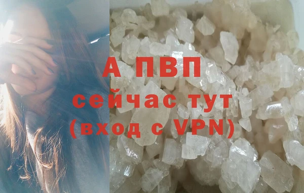 гашик Кодинск